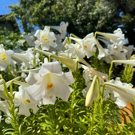 בית נופש Casa Parra *
